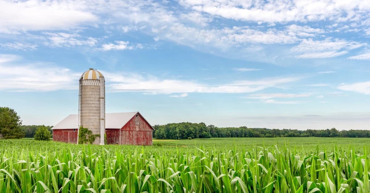 demoHomeBanner